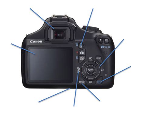 camera diagram  diagram quizlet