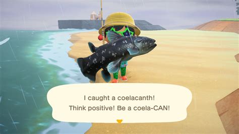 How to find rare fish and bugs in Animal Crossing: New Horizons