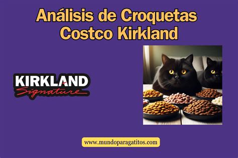 Croquetas Kirkland Para Gatos Reseña Y Opinión 2024 El Mundo De Los