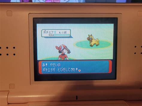 [3] Shiny Uncatchable Poochyena after 1424 SRs in JPN Sapphire : r ...