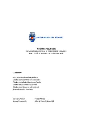 Fillable Online UNIVERSIDAD DEL BO BO ESTADOS FINANCIEROS AL 31 Fax