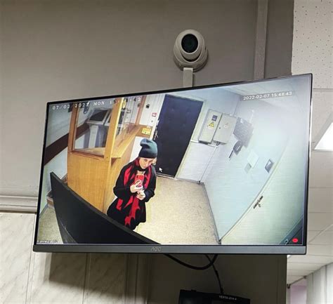 Pussy Riot Member Masha Alyokhina Has Been Arrested In Moscow For The Second Time In Three Months