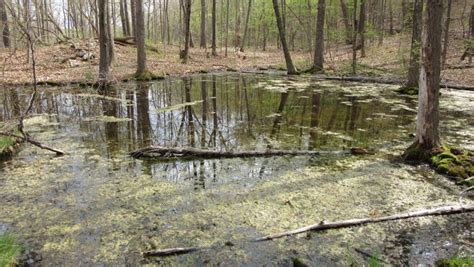 Esopus Meadows Preserve An Ideal Day Trip