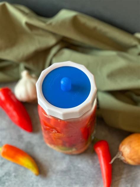 How To Make Fermented Hot Sauce The Rustic Elk