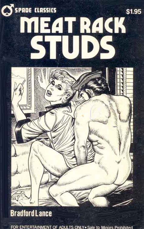 Random Images From The Golden Age Of The Gay Paperback Novel Aquadude Bunker
