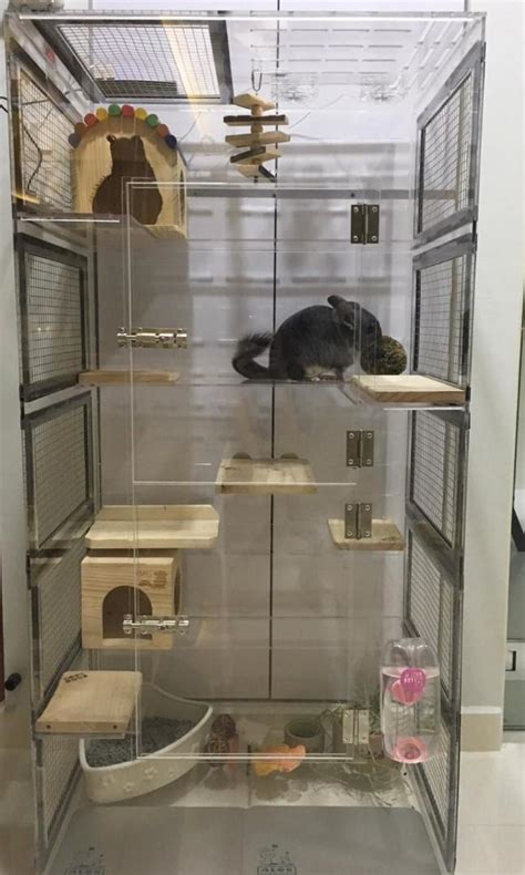 Large chinchilla cage, Pet Supplies, Homes & Other Pet Accessories on Carousell