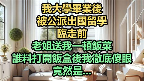 《完結文》我大學畢業後，被公派出國留學，臨走前，老姐送我一頓飯菜，誰料打開飯盒後我徹底傻眼，竟然是 Youtube