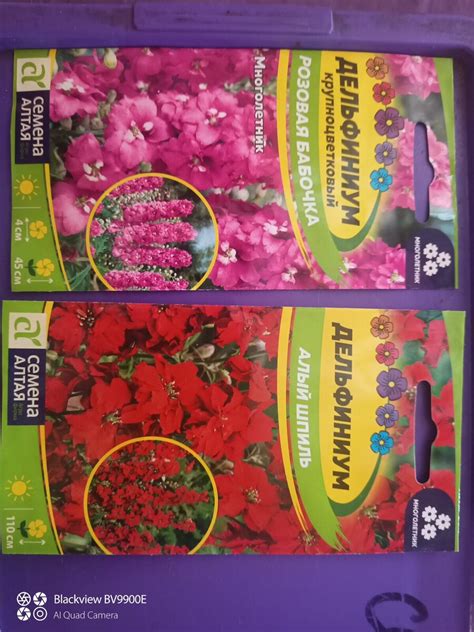 Цветик-семицветик | БиоЛлама | Дзен