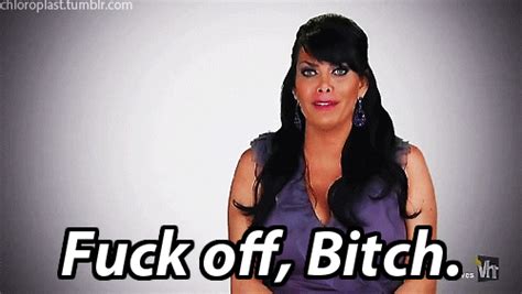 Vh Fuck Off Find Share On GIPHY