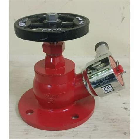 Cast Iron Medium Pressure Mm Fire Hydrant Valve For Industrial Size