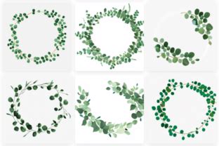 Eucalyptus Leaves Wreath Collection Graphic By Hassas Arts Creative