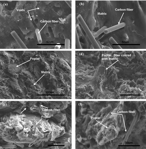 SEM Micrographs Of Tensile Fractured Surfaces Of Composites A