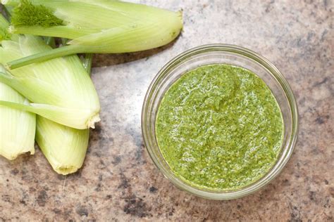 Fennel Frond Pesto Served From Scratch