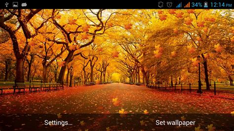 Autumn Leaves Live Wallpaper Free Download For