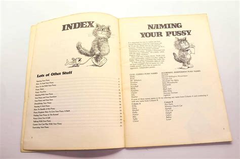 Games You Can Play With Your Pussy By Altmann Ira Good Softcover St Edition Jacket