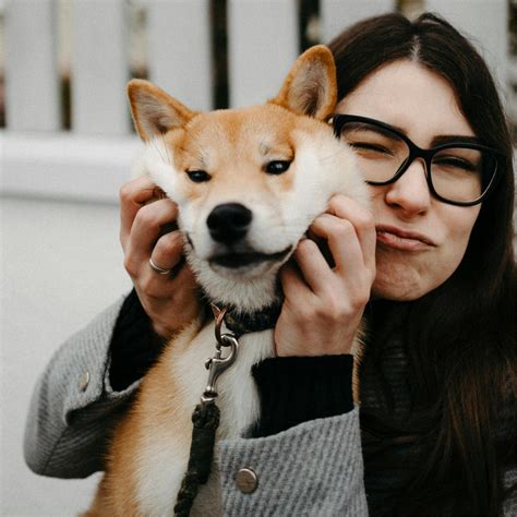 Dog Studio Los Angeles Ca
