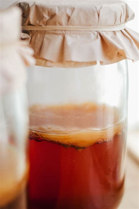 Homemade Kombucha The Simple Guide To Kickass Kombucha