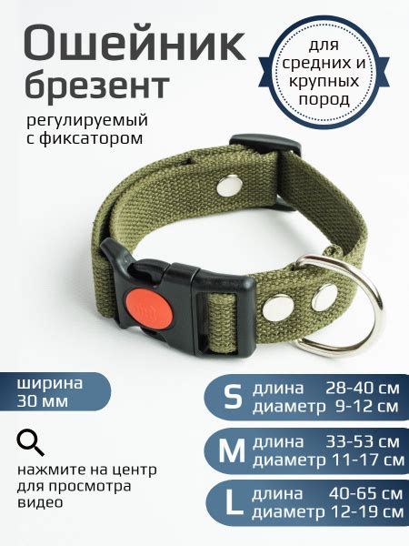 Ошейник для собак средних и крупных пород 30 мм - купить с доставкой по ...