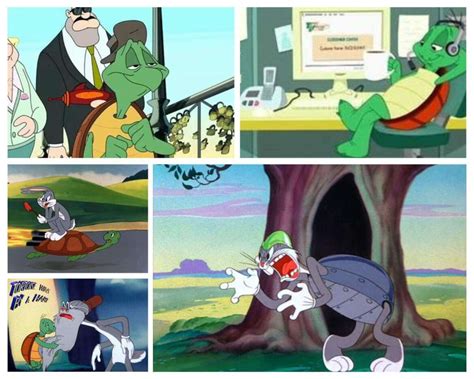 Cecil Turtle Speed With Wit And Wisdom