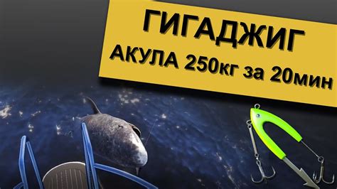 Акула Гренландская на 245кг в игре Русская Рыбалка 4 - YouTube