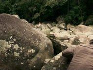 Liberdade Liberdade Nude Pics Page