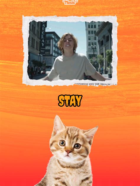 stay  kid laroi justin bieber official mv tiktok