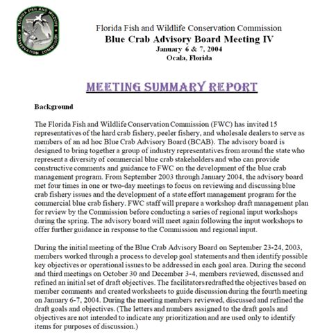 8+ Useful Meeting Summary Samples in MS WORD