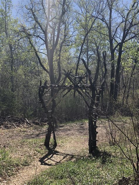 Exploring Nature and Wildlife at Oakdale Nature Preserve 17