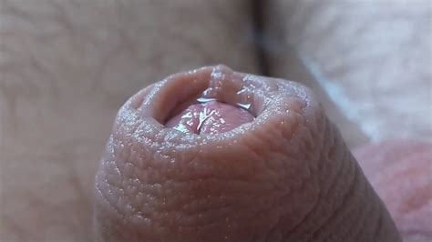 Nudetiger Slow Motion Gay Masturbation Porn Xhamster