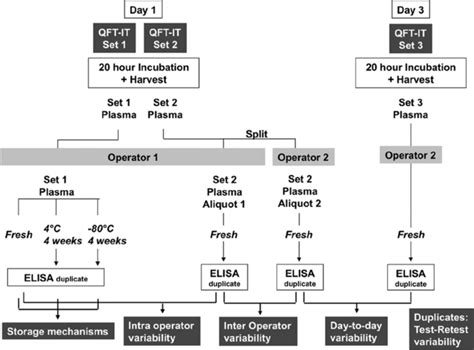 Overview Of Study Design Sample Flow And Main Comparisons For QFT IT