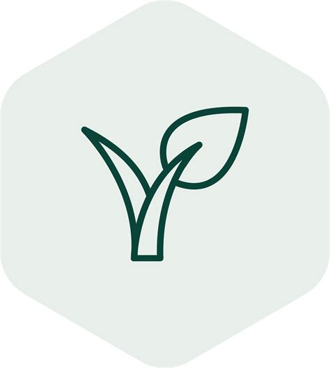 Bebida de Aveia Nude Orgânica Barista sem Glúten Zaffari Bourbon