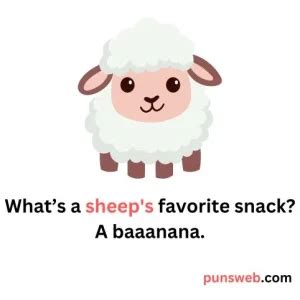 Funny Sheep Puns And Jokes Woolly Hilarious