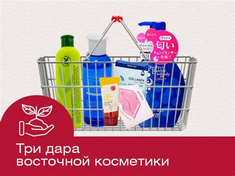 Новости Кимико