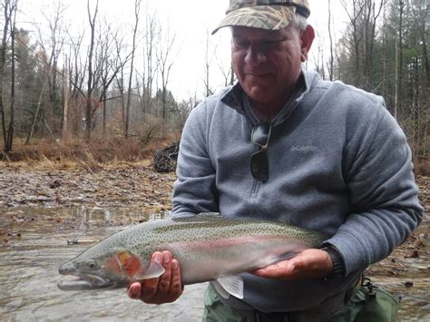 Media — Trout Yeah Fly Fishing Guide Service