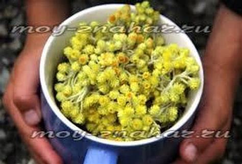 Blog Archives - tattoobertyl