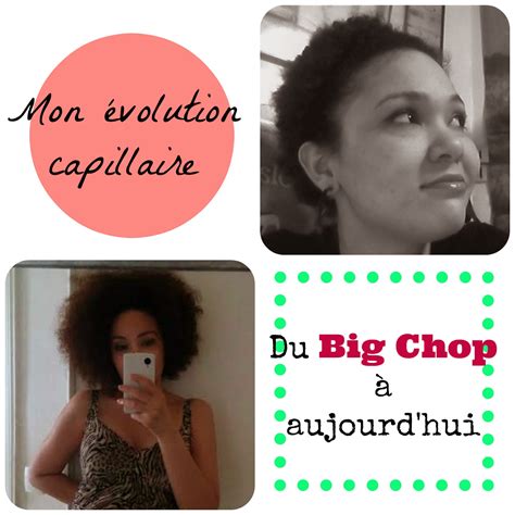 Le Blog de Kimy Mon évolution capillaire du Big Chop à aujourd hui