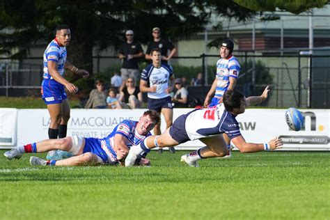 2024 Shute Shield Wildfires V Eastwood NBN News