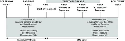 Study Timeline The Study Timeline Is Showing Each Study Visit And The