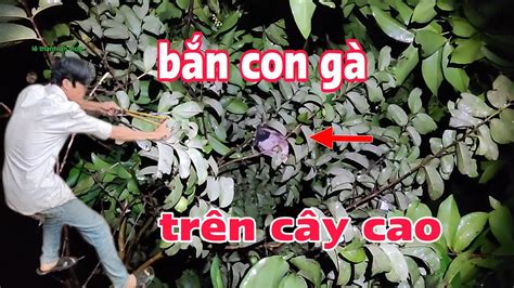 tổng hợp những pha hành động gay cấn và hài hước thật đáng sợ YouTube