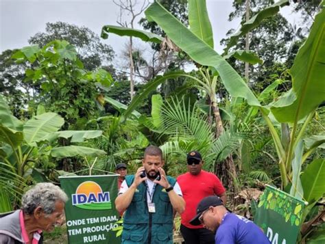 Unidade Demonstrativa de Açaí em Benjamin Constant permite capacitação