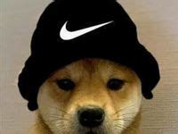 Funny Xbox Pfp