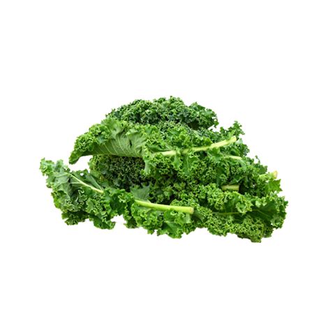 Kale Curly 500gr Vivre Gourmet