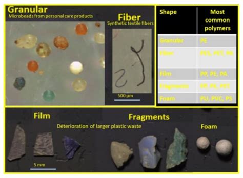 Molecules Free Full Text Membrane Processes For Microplastic Removal