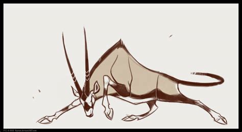 Gemsbok By Feyscat On Deviantart