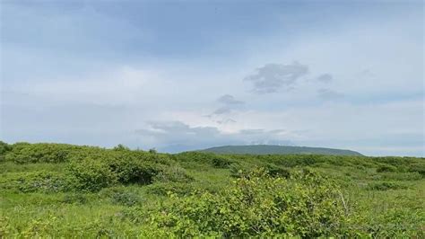 Watch Free Lucy Laistner Outdoor Boobs Bouncing Video Leaked Porn Video OnCams TV