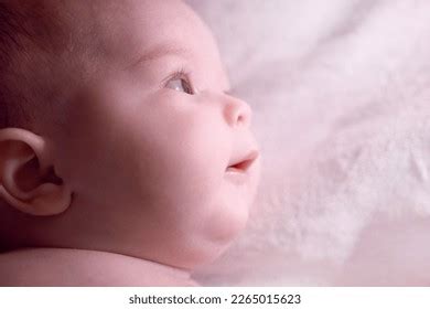 14 467 рез по запросу Naked girl lying on bed изображения стоковые фотографии и векторная