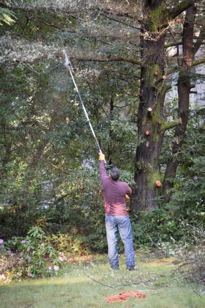 Pole Saw Rental Pole Pruner Rentals In Millis Ma