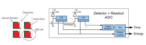 left  shown  sketch   cells   conventional sipm