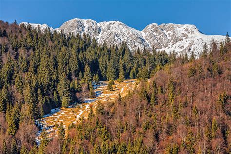 Piatra Craiului Romania Travelmatic