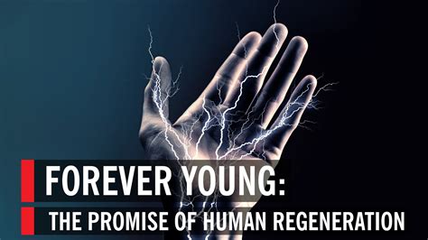 Regeneration In Humans. You might have seen lizards detaching… | by ...